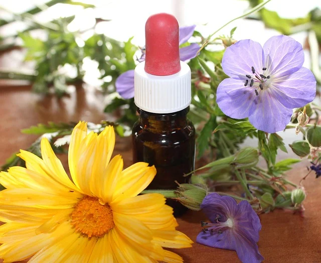stress chien et homeopathie